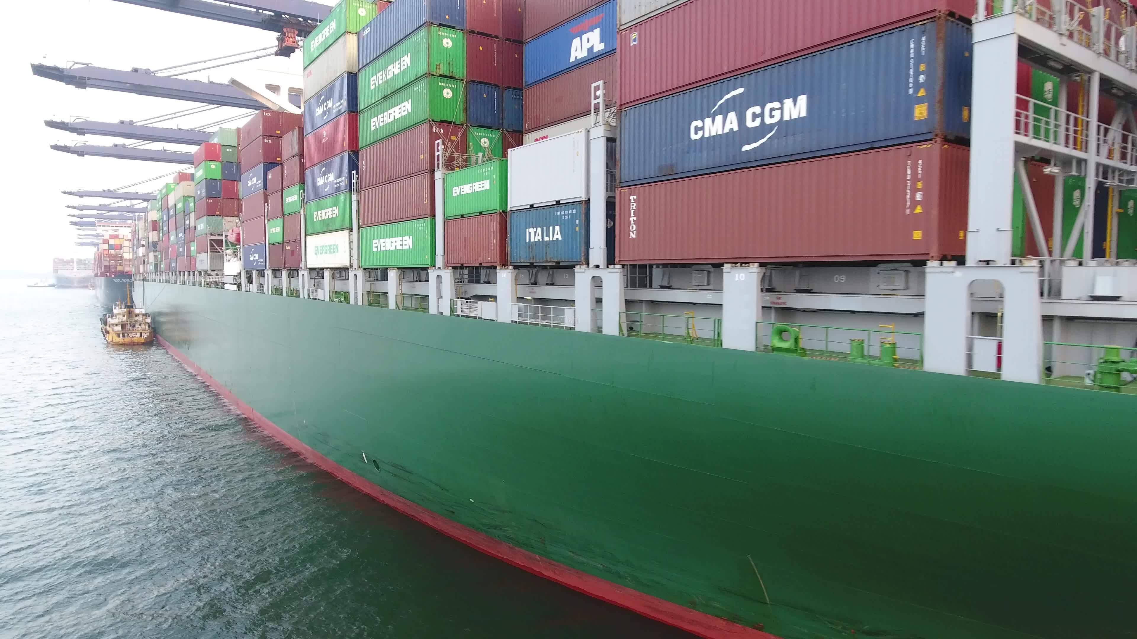 海运期货为航运外贸保价护航